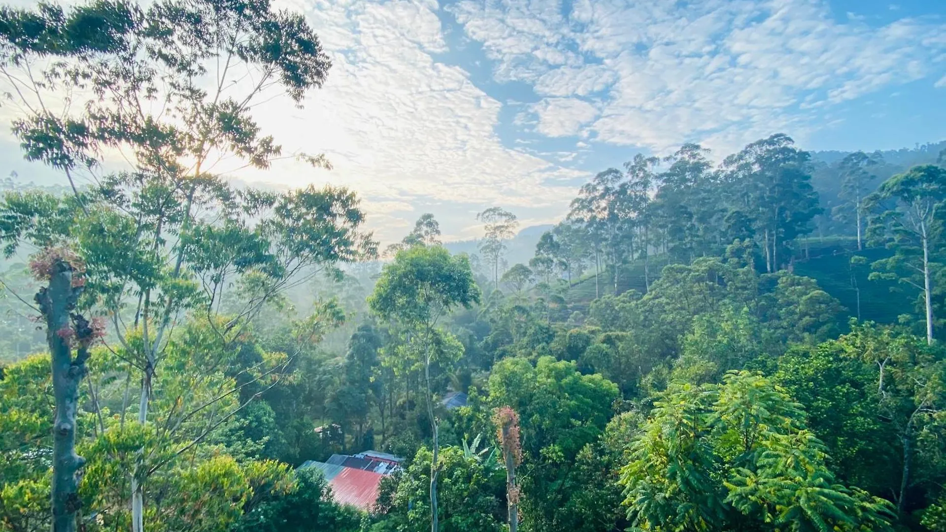 Adams Peak Inn Наллатания